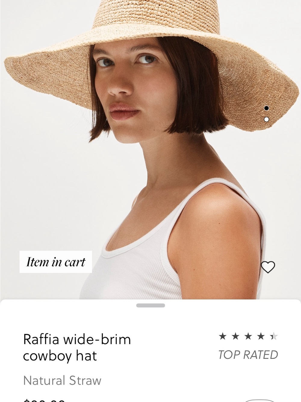 J. Crew Natural Straw Raffia Hat NWT - Picture 1 of 3